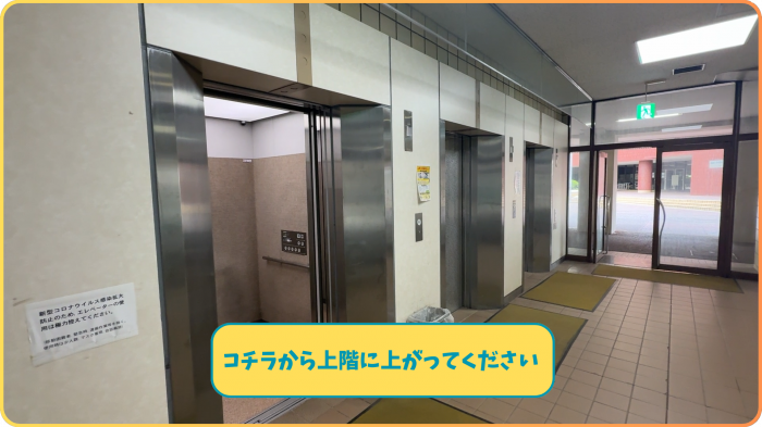日本大学生産工学部 電気電子工学科 構内案内 28号館 29号館 30号館 31号館 エレベーター ルート